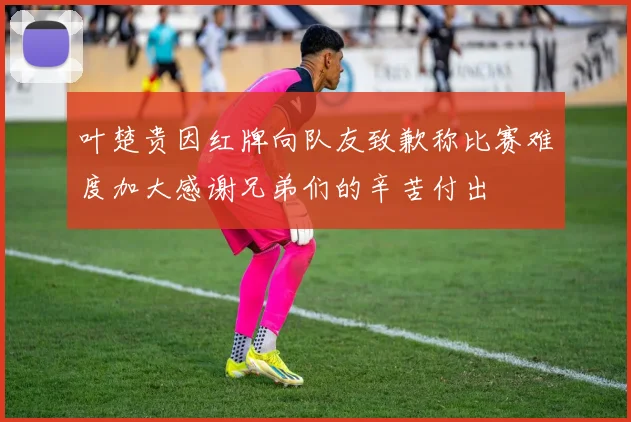 叶楚贵因红牌向队友致歉称比赛难度加大感谢兄弟们的辛苦付出