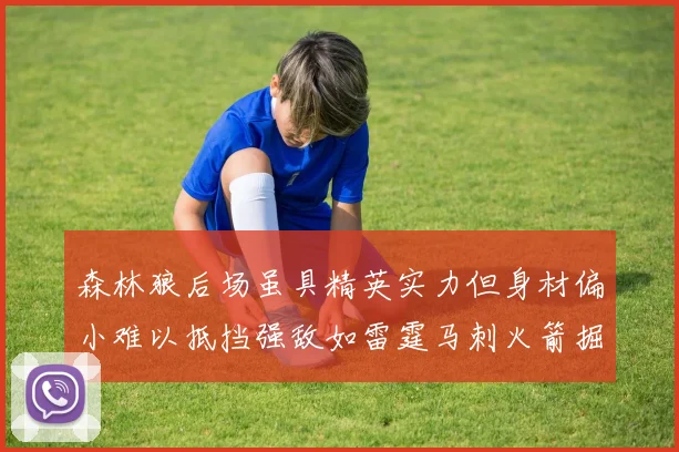 森林狼后场虽具精英实力但身材偏小难以抵挡强敌如雷霆马刺火箭掘金
