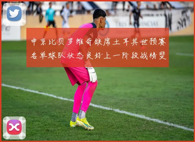 申京比贝罗维奇缺席土耳其世预赛名单球队状态良好上一阶段战绩斐然