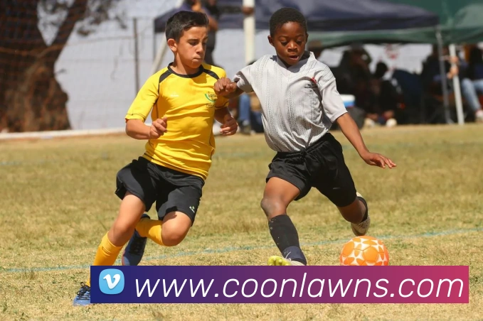 奖项图2